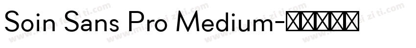 Soin Sans Pro Medium字体转换